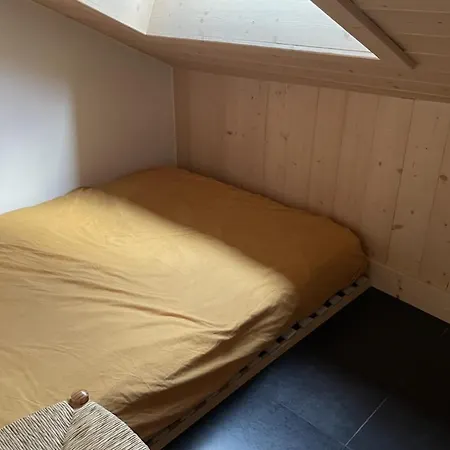 Lovely Family Nest In